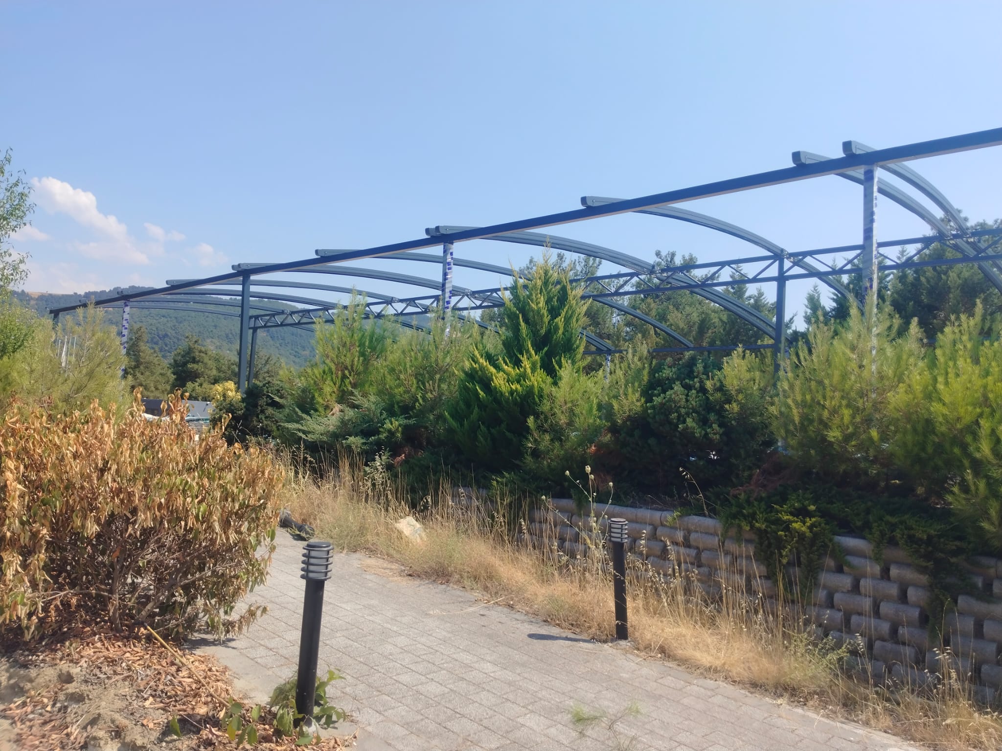 Pergole proje 11